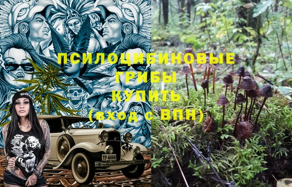 марки lsd Алексеевка