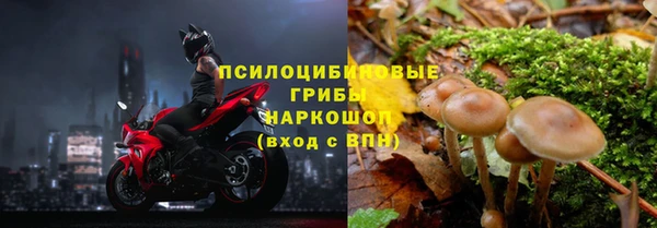 тгк Новокубанск